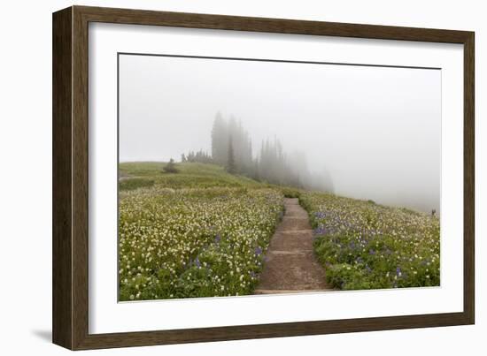 Mount Rainier National Park, Washington: Skyline Trail-Ian Shive-Framed Photographic Print