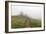 Mount Rainier National Park, Washington: Skyline Trail-Ian Shive-Framed Photographic Print