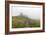 Mount Rainier National Park, Washington: Skyline Trail-Ian Shive-Framed Photographic Print