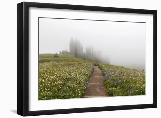 Mount Rainier National Park, Washington: Skyline Trail-Ian Shive-Framed Photographic Print
