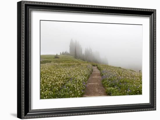 Mount Rainier National Park, Washington: Skyline Trail-Ian Shive-Framed Photographic Print
