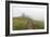 Mount Rainier National Park, Washington: Skyline Trail-Ian Shive-Framed Photographic Print