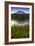 Mount Rainier National Park, Washington: Sunset At Reflection Lakes With Mount Rainier In The Bkgd-Ian Shive-Framed Photographic Print