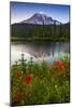 Mount Rainier National Park, Washington: Sunset At Reflection Lakes With Mount Rainier In The Bkgd-Ian Shive-Mounted Photographic Print