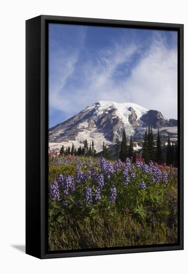 Mount Rainier National Park, Wildflowers-Ken Archer-Framed Premier Image Canvas