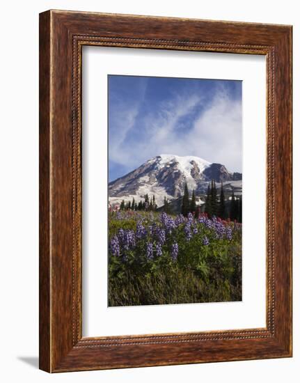 Mount Rainier National Park, Wildflowers-Ken Archer-Framed Photographic Print