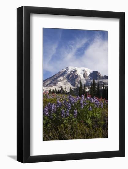 Mount Rainier National Park, Wildflowers-Ken Archer-Framed Photographic Print