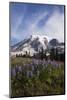 Mount Rainier National Park, Wildflowers-Ken Archer-Mounted Photographic Print