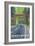 Mount Rainier, Nisqually Entrance-Lantern Press-Framed Art Print