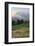 Mount Rainier Paradise wildflower meadows. Mount Rainier National Park, Washington State-Alan Majchrowicz-Framed Photographic Print