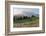 Mount Rainier Paradise wildflower meadows. Mount Rainier National Park, Washington State-Alan Majchrowicz-Framed Photographic Print