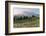 Mount Rainier Paradise wildflower meadows. Mount Rainier National Park, Washington State-Alan Majchrowicz-Framed Photographic Print