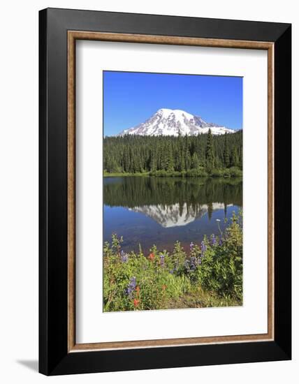 Mount Rainier Reflected in a Lake, Washington State, USA-Mark Taylor-Framed Photographic Print