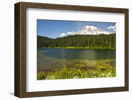 Mount Rainier, Reflection Lakes, Mount Rainier National Park, Washington State, USA-Michel Hersen-Framed Photographic Print