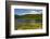 Mount Rainier, Reflection Lakes, Mount Rainier National Park, Washington State, USA-Michel Hersen-Framed Photographic Print