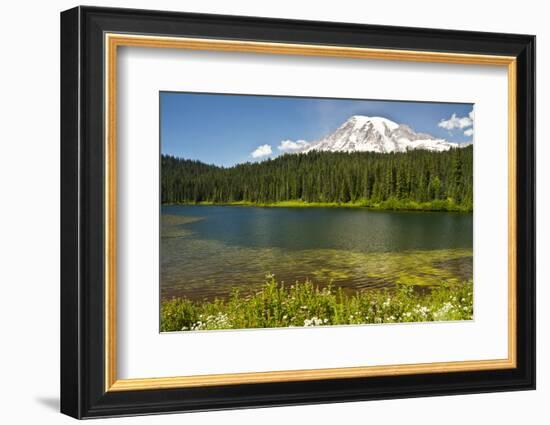 Mount Rainier, Reflection Lakes, Mount Rainier National Park, Washington State, USA-Michel Hersen-Framed Photographic Print