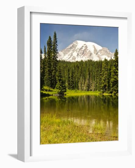 Mount Rainier, Reflection Lakes, Mount Rainier National Park, Washington State, USA-Michel Hersen-Framed Photographic Print