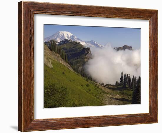 Mount Rainier rises above a fog bank, Tatoosh Wilderness, Washington State, USA-Janis Miglavs-Framed Photographic Print