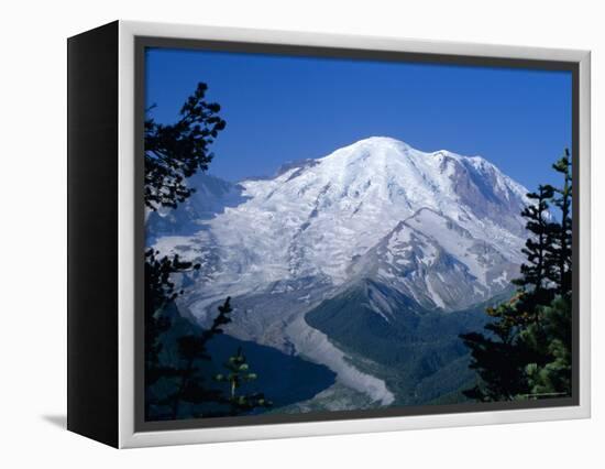 Mount Rainier, Volcanic Peak, and Emmons Glacier from Summit Icefield, Washington State, USA-Anthony Waltham-Framed Premier Image Canvas