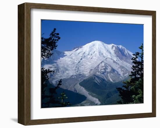 Mount Rainier, Volcanic Peak, and Emmons Glacier from Summit Icefield, Washington State, USA-Anthony Waltham-Framed Photographic Print