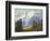 Mount Rainier-Lionel E. Salmon-Framed Giclee Print