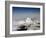 Mount Ranier, Washington State, United States of America, North America-James Gritz-Framed Photographic Print