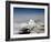 Mount Ranier, Washington State, United States of America, North America-James Gritz-Framed Photographic Print