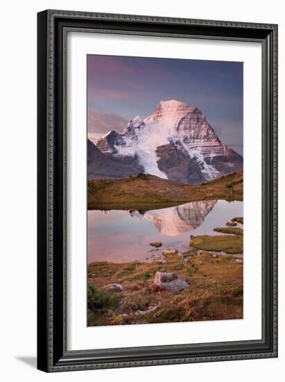 Mount Robson-Alan Majchrowicz-Framed Photo