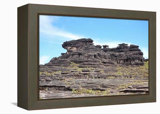 Mount Roraima Landscape (Intersection of Borders: Venezuela, Guyana, Brazil)-zanskar-Framed Premier Image Canvas