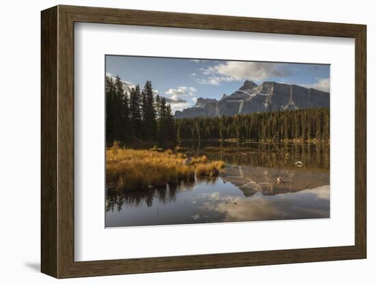 Mount Rundle reflected in Johnson Lake, Banff National Park, Alberta, Rocky Mountains, Canada-Jon Reaves-Framed Photographic Print