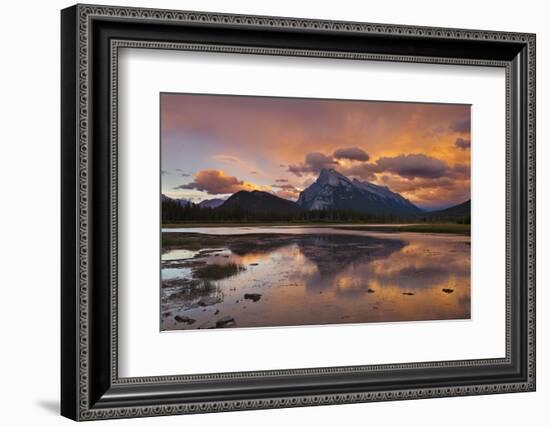 Mount Rundle Rising Above Vermillion Lakes Drive at Sunset-Neale Clark-Framed Photographic Print