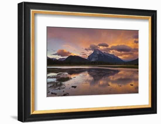 Mount Rundle Rising Above Vermillion Lakes Drive at Sunset-Neale Clark-Framed Photographic Print