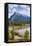 Mount Rundle Rising Above Vermillion Lakes Drive-Neale Clark-Framed Premier Image Canvas