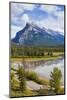 Mount Rundle Rising Above Vermillion Lakes Drive-Neale Clark-Mounted Photographic Print