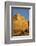 Mount Rushmore National Memorial, Keystone, South Dakota, USA-Walter Bibikow-Framed Photographic Print