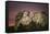 Mount Rushmore-Galloimages Online-Framed Stretched Canvas