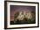 Mount Rushmore-Galloimages Online-Framed Photographic Print