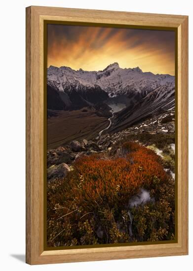 Mount Sefton-Yan Zhang-Framed Premier Image Canvas