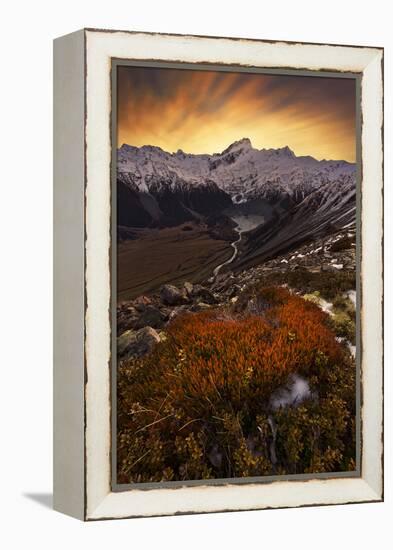 Mount Sefton-Yan Zhang-Framed Premier Image Canvas