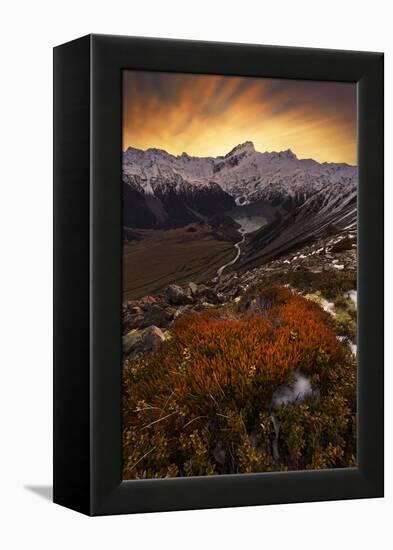 Mount Sefton-Yan Zhang-Framed Premier Image Canvas