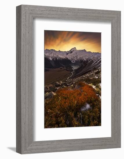 Mount Sefton-Yan Zhang-Framed Photographic Print