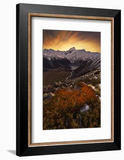 Mount Sefton-Yan Zhang-Framed Photographic Print
