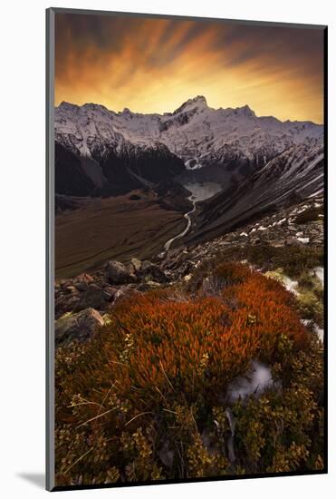 Mount Sefton-Yan Zhang-Mounted Photographic Print