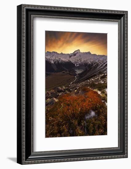 Mount Sefton-Yan Zhang-Framed Photographic Print