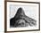 Mount Selkirk, Juan Fernandez Islands, 1895-T Taylor-Framed Giclee Print