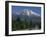 Mount Shasta, a Dormant Volcano with Glaciers, 14161 Ft High, California-Tony Waltham-Framed Photographic Print