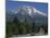 Mount Shasta, a Dormant Volcano with Glaciers, 14161 Ft High, California-Tony Waltham-Mounted Photographic Print