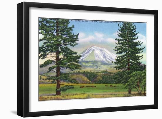 Mount Shasta, California - View of the Mountain from a Meadow, c.1940-Lantern Press-Framed Art Print