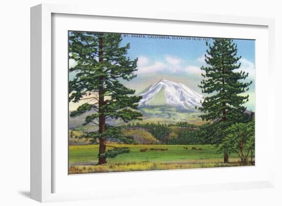 Mount Shasta, California - View of the Mountain from a Meadow, c.1940-Lantern Press-Framed Art Print