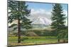 Mount Shasta, California - View of the Mountain from a Meadow, c.1940-Lantern Press-Mounted Art Print
